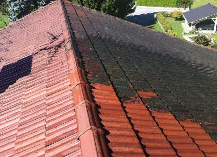 façade toiture après démoussage