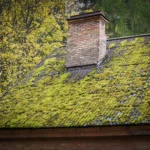 Nettoyage de toiture avant traitement